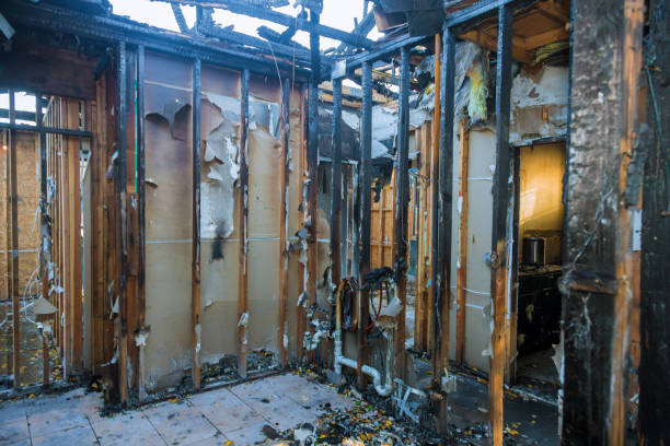 Professional Smoke Damage Removal technician working in Piermont, NY